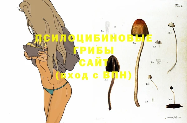прущие грибы Алексин
