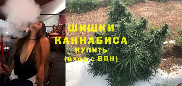 спиды Рославль