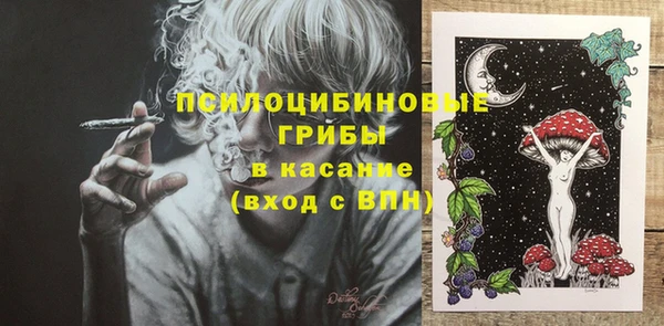 прущие грибы Алексин