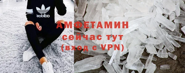 гидра Аркадак