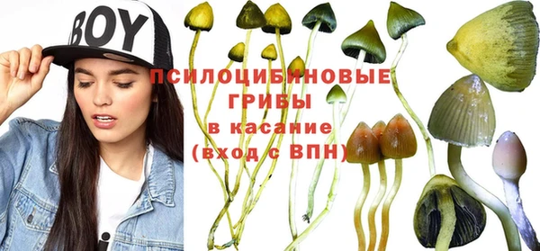 стаф Россошь