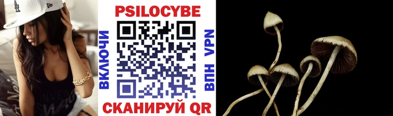 МЕГА как войти Лесной Псилоцибиновые грибы Psilocybine cubensis купить наркотики сайты