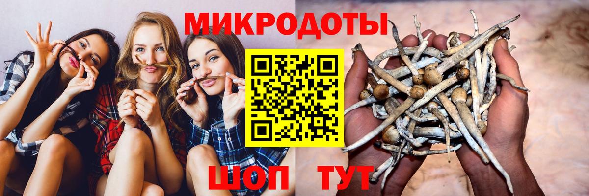 Галлюциногенные грибы ЛСД Лесной