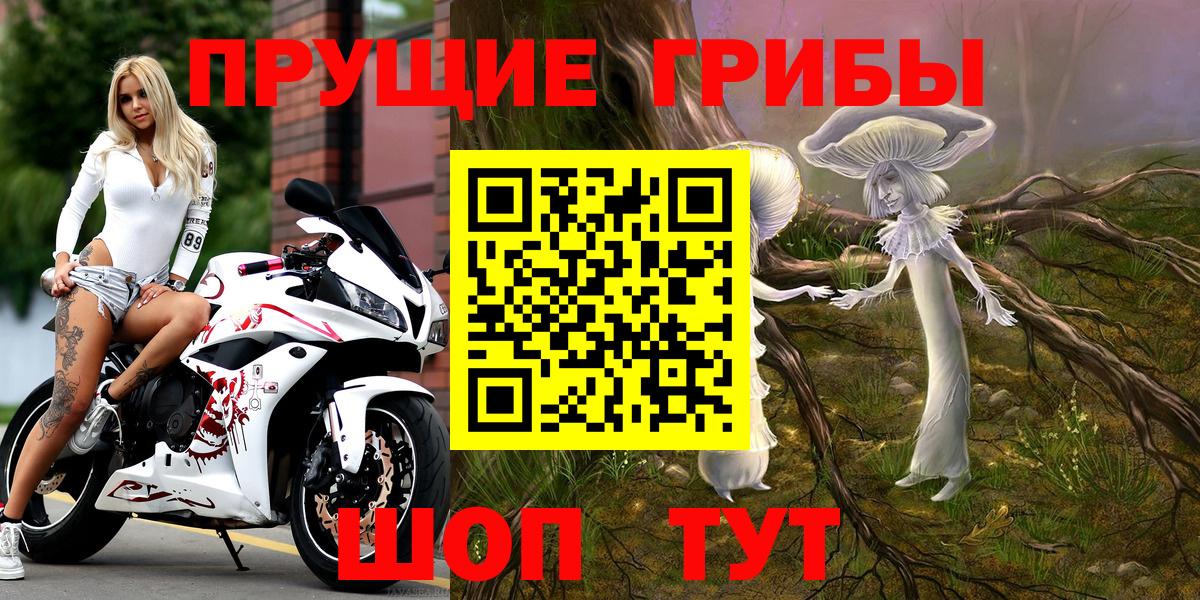 Псилоцибиновые грибы MAGIC MUSHROOMS  Псилоцибиновые грибы прущие грибы  Лесной  Вход с VPN 
